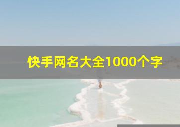 快手网名大全1000个字