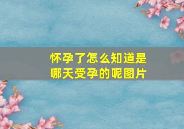 怀孕了怎么知道是哪天受孕的呢图片