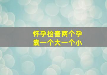 怀孕检查两个孕囊一个大一个小