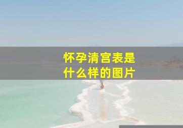 怀孕清宫表是什么样的图片