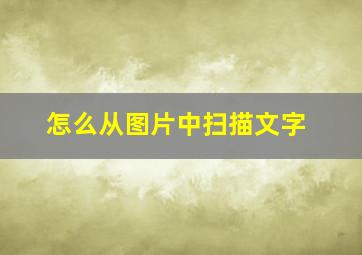 怎么从图片中扫描文字