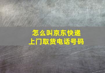 怎么叫京东快递上门取货电话号码