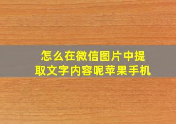 怎么在微信图片中提取文字内容呢苹果手机