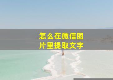 怎么在微信图片里提取文字