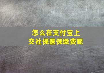 怎么在支付宝上交社保医保缴费呢