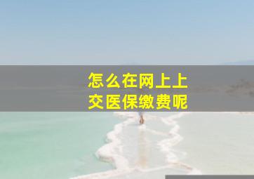 怎么在网上上交医保缴费呢