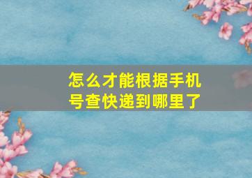 怎么才能根据手机号查快递到哪里了