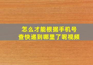 怎么才能根据手机号查快递到哪里了呢视频