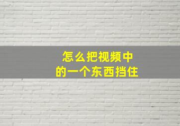 怎么把视频中的一个东西挡住