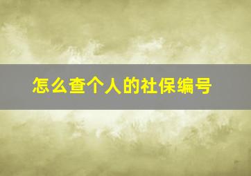 怎么查个人的社保编号