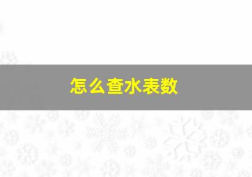 怎么查水表数