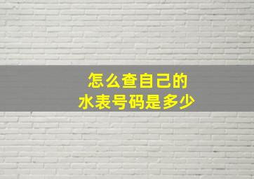 怎么查自己的水表号码是多少