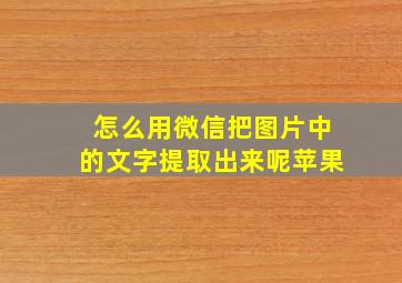 怎么用微信把图片中的文字提取出来呢苹果