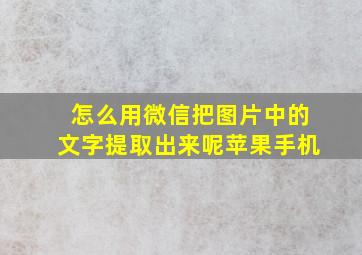 怎么用微信把图片中的文字提取出来呢苹果手机