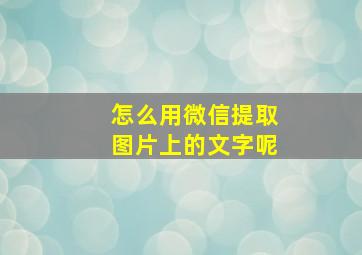 怎么用微信提取图片上的文字呢