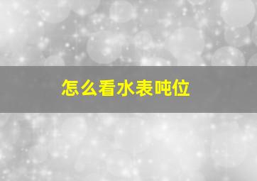 怎么看水表吨位