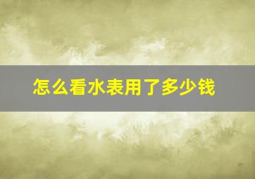 怎么看水表用了多少钱