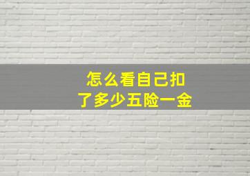 怎么看自己扣了多少五险一金