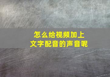 怎么给视频加上文字配音的声音呢