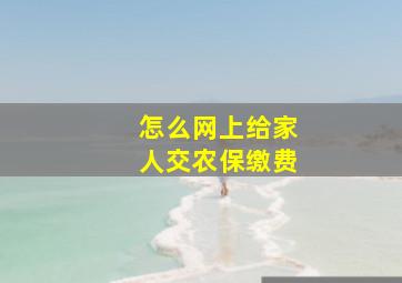 怎么网上给家人交农保缴费