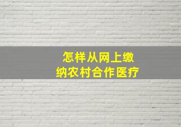 怎样从网上缴纳农村合作医疗