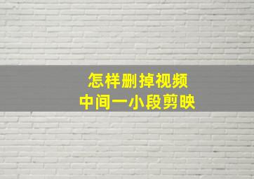 怎样删掉视频中间一小段剪映