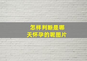 怎样判断是哪天怀孕的呢图片