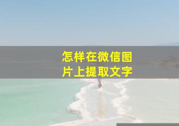 怎样在微信图片上提取文字