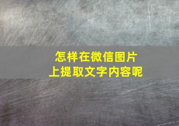 怎样在微信图片上提取文字内容呢