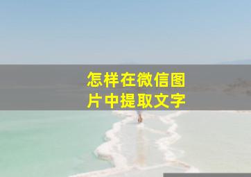 怎样在微信图片中提取文字