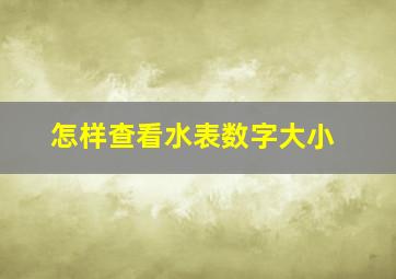 怎样查看水表数字大小