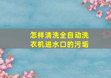 怎样清洗全自动洗衣机进水口的污垢