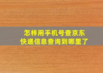 怎样用手机号查京东快递信息查询到哪里了