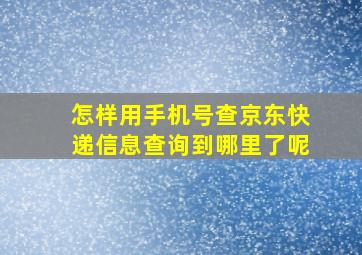 怎样用手机号查京东快递信息查询到哪里了呢