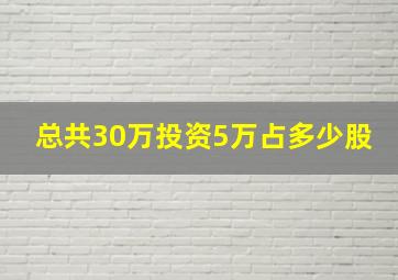 总共30万投资5万占多少股