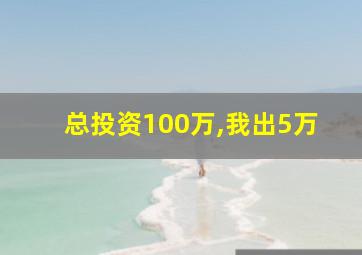 总投资100万,我出5万