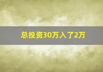 总投资30万入了2万