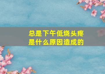 总是下午低烧头疼是什么原因造成的