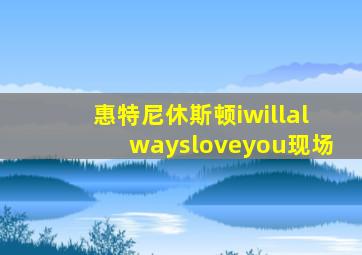 惠特尼休斯顿iwillalwaysloveyou现场