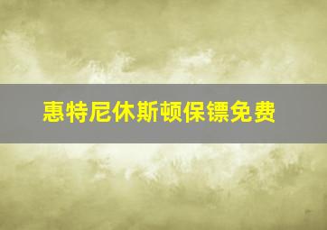 惠特尼休斯顿保镖免费