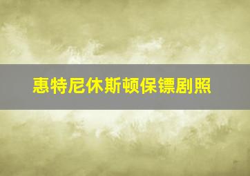 惠特尼休斯顿保镖剧照