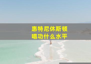 惠特尼休斯顿唱功什么水平