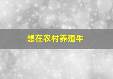 想在农村养殖牛