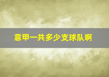 意甲一共多少支球队啊