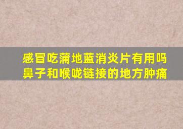 感冒吃蒲地蓝消炎片有用吗鼻子和喉咙链接的地方肿痛