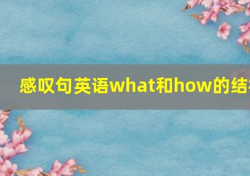 感叹句英语what和how的结构