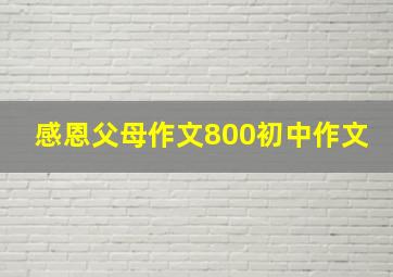 感恩父母作文800初中作文