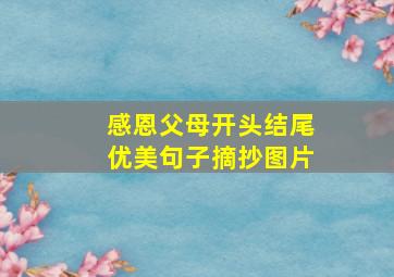 感恩父母开头结尾优美句子摘抄图片