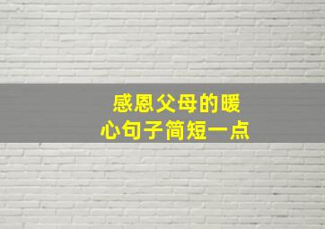 感恩父母的暖心句子简短一点