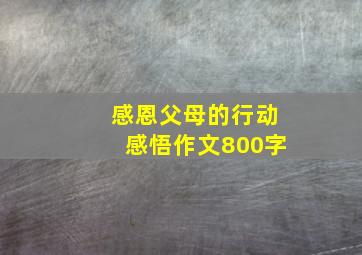 感恩父母的行动感悟作文800字